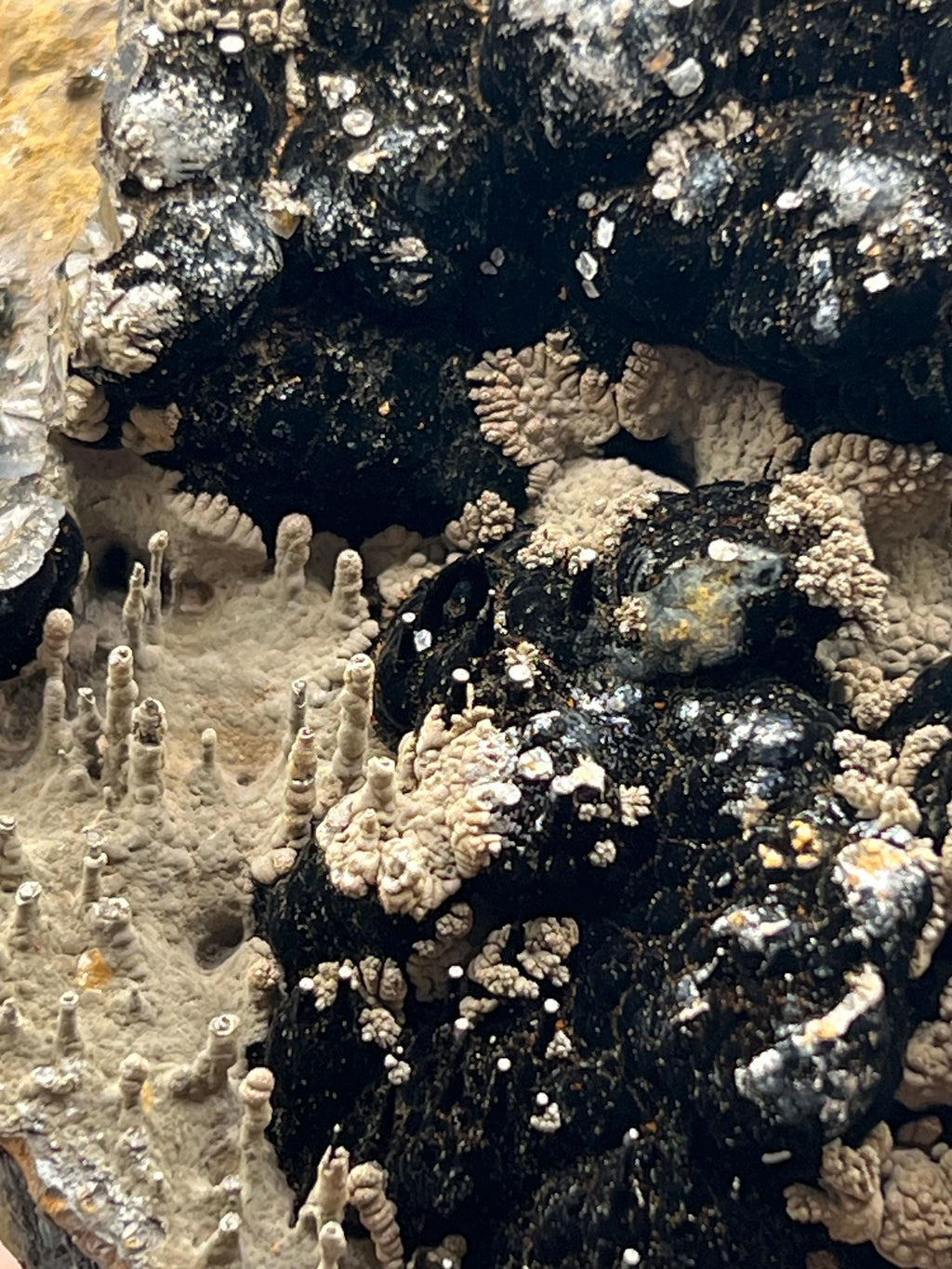 Limonite And Specularite On Stalactite Goethite - Crystal Gemstone AE 
