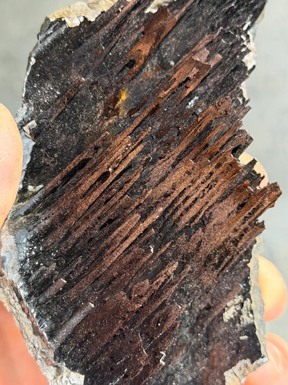 Museum Quality! Specularite And Limonite With Stalactite Goethite