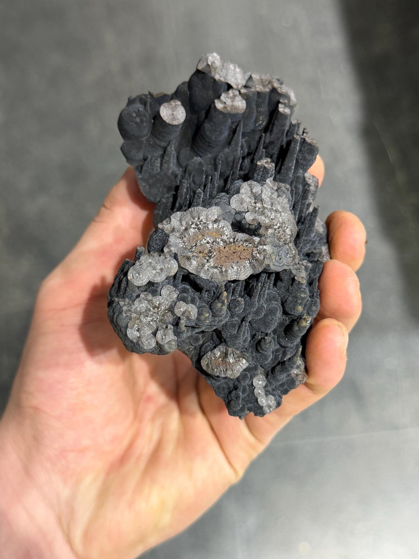 Very Showy! Velvet Stalactite Goethite Mineral