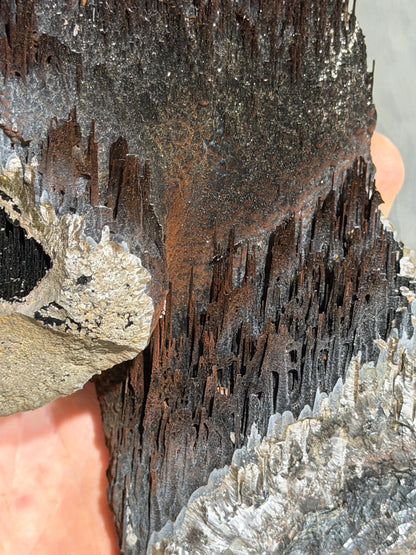 Museum Quality! Very Showy Limonite And Specularite With Stalactite Goethite Mineral