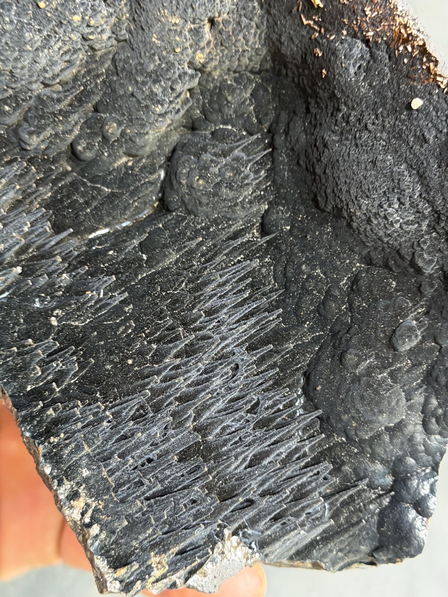 Museum Quality! Very Showy Velvet Stalactite Goethite