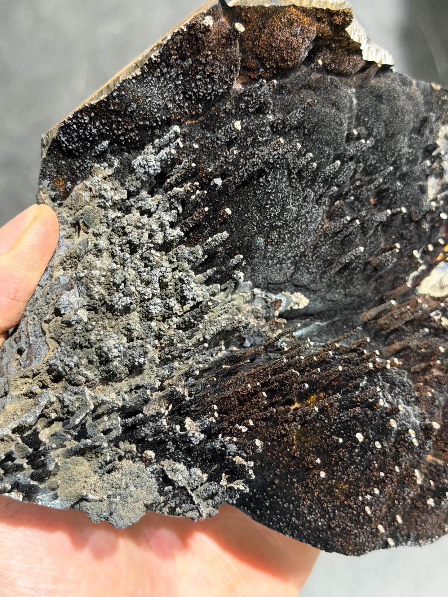 Very Showy, Museum Quality Limonite And Specularite With Stalactite Goethite