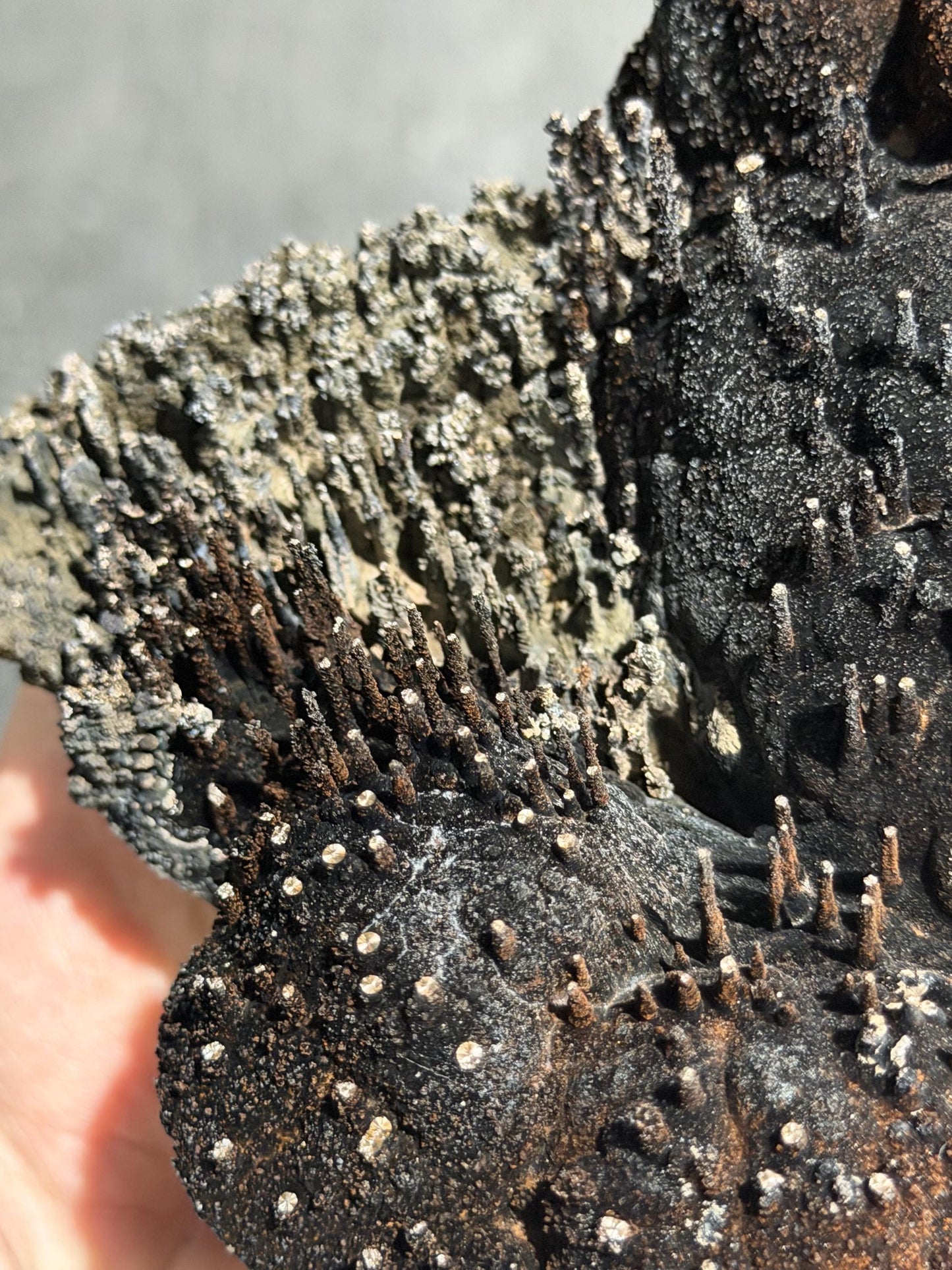 Very Showy, Museum Quality Limonite And Specularite With Stalactite Goethite