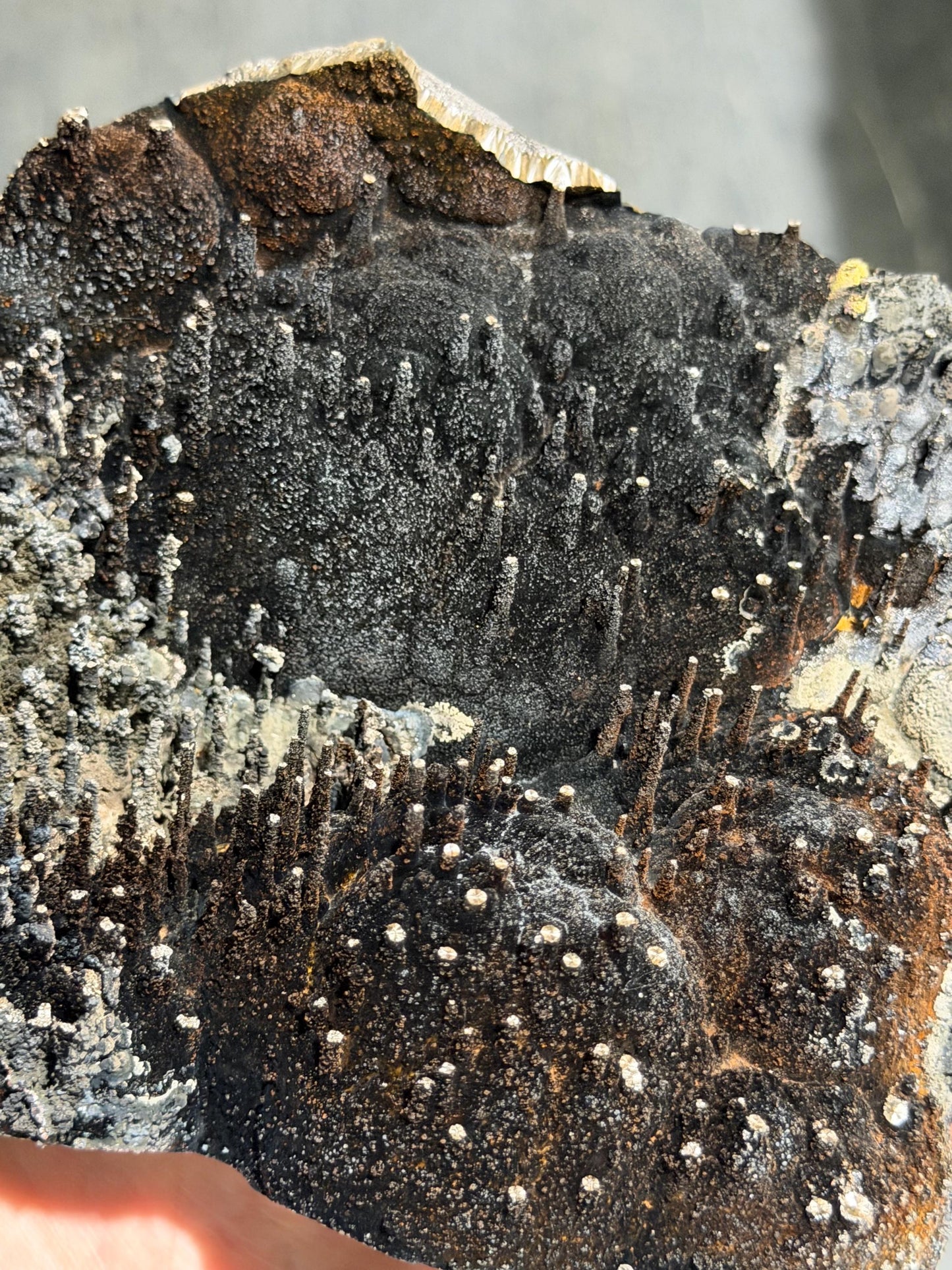 Very Showy, Museum Quality Limonite And Specularite With Stalactite Goethite