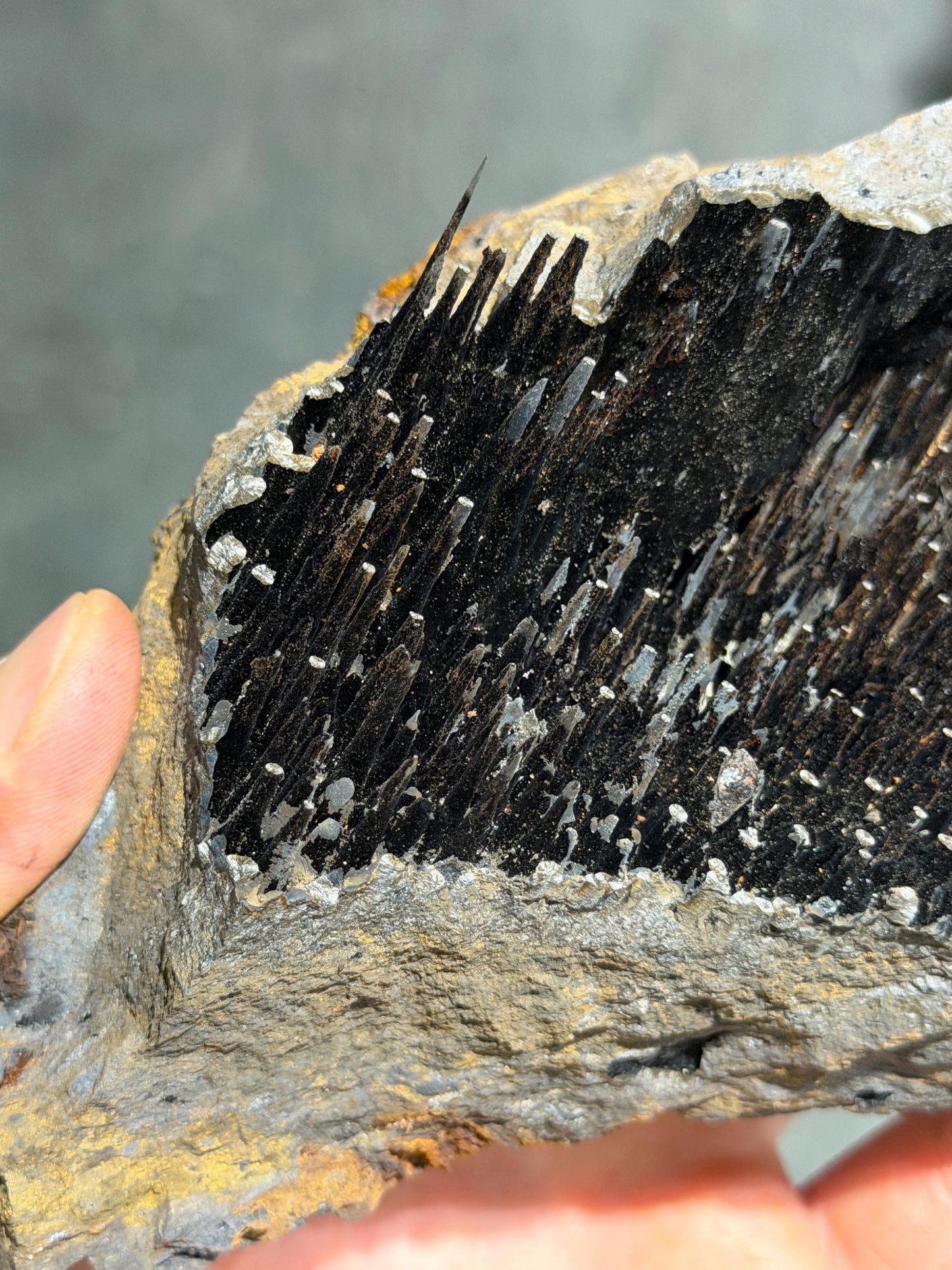 Very Showy! Limonite And Specularite With Stalactite Goethite