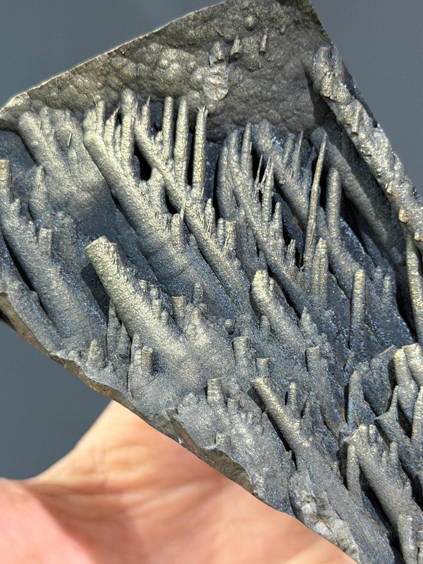 Very Unique! Special Stalactite Formations Golden Color Velvet Goethite, Special Collection Item