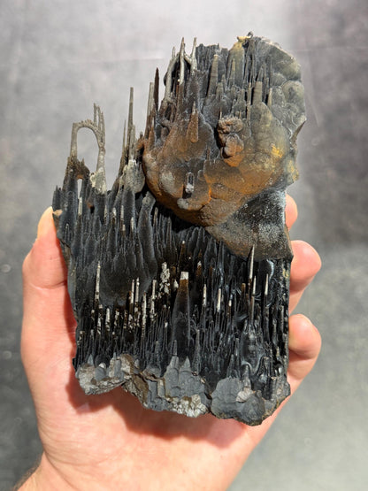 Super Rare! Very Showy Limonite With Velvet Stalactite Goethite, Special Collector Item