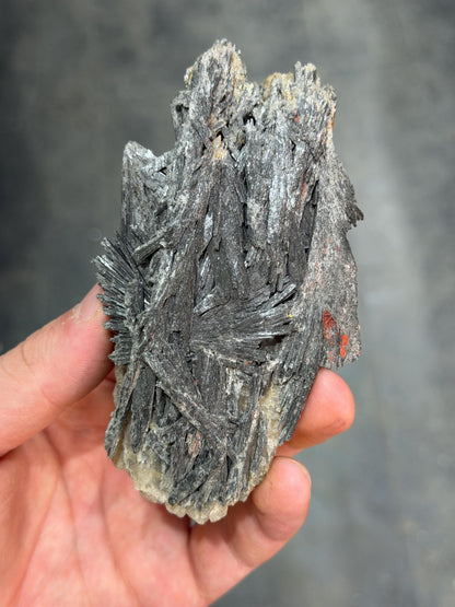 Gray Kyanite Specimen