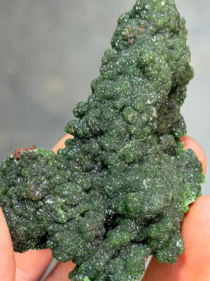 The Collector Grade Conichalcite Specimen