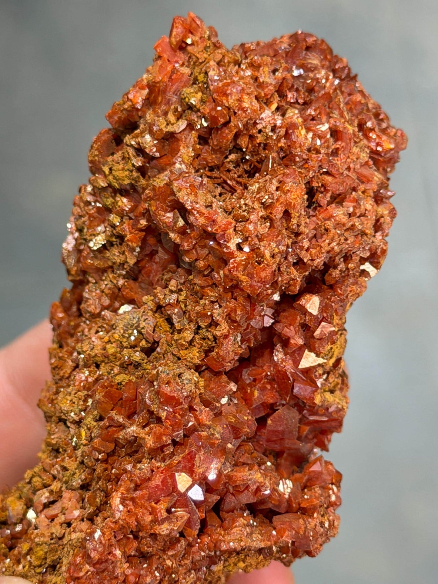 Collector Grade Crocoite Specimen