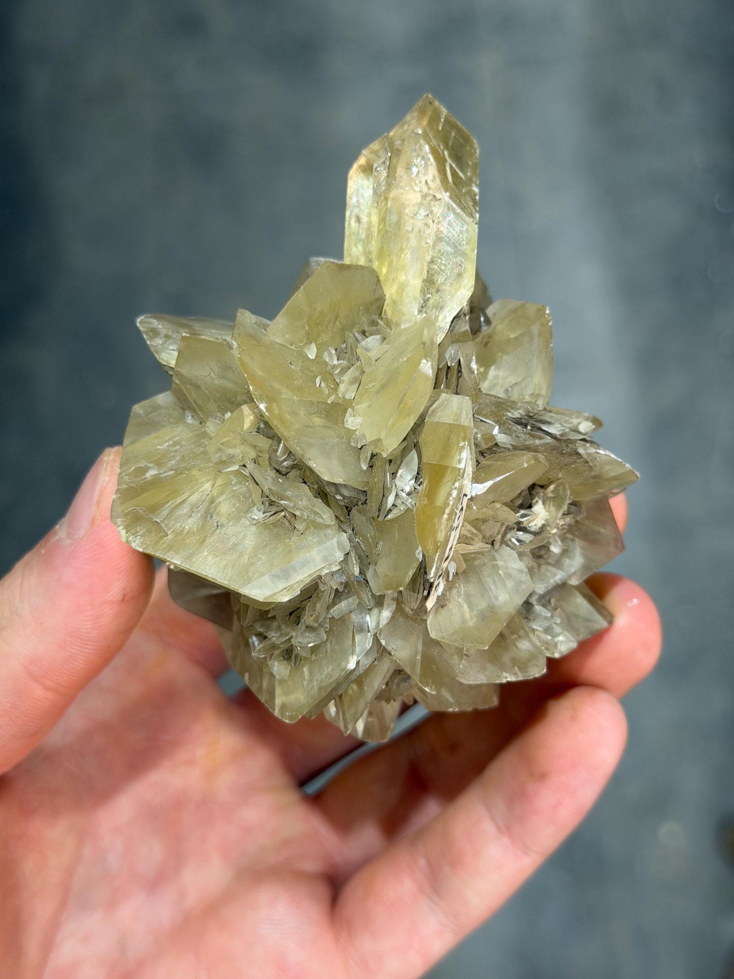Selenite Rose Crystal