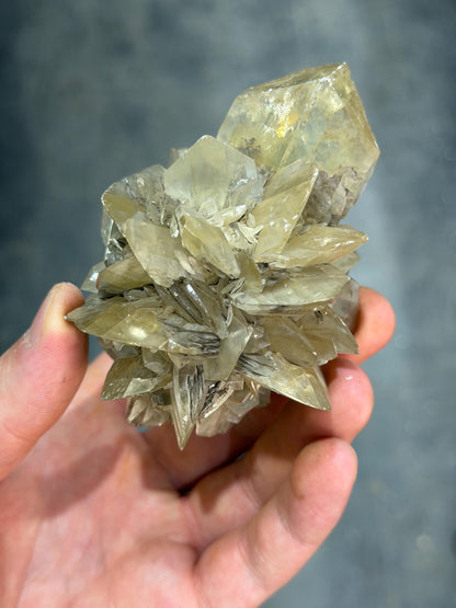 Selenite Rose Crystal