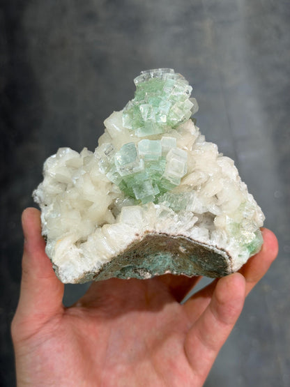 The High Level! Discoball Apophyllite Stilbite