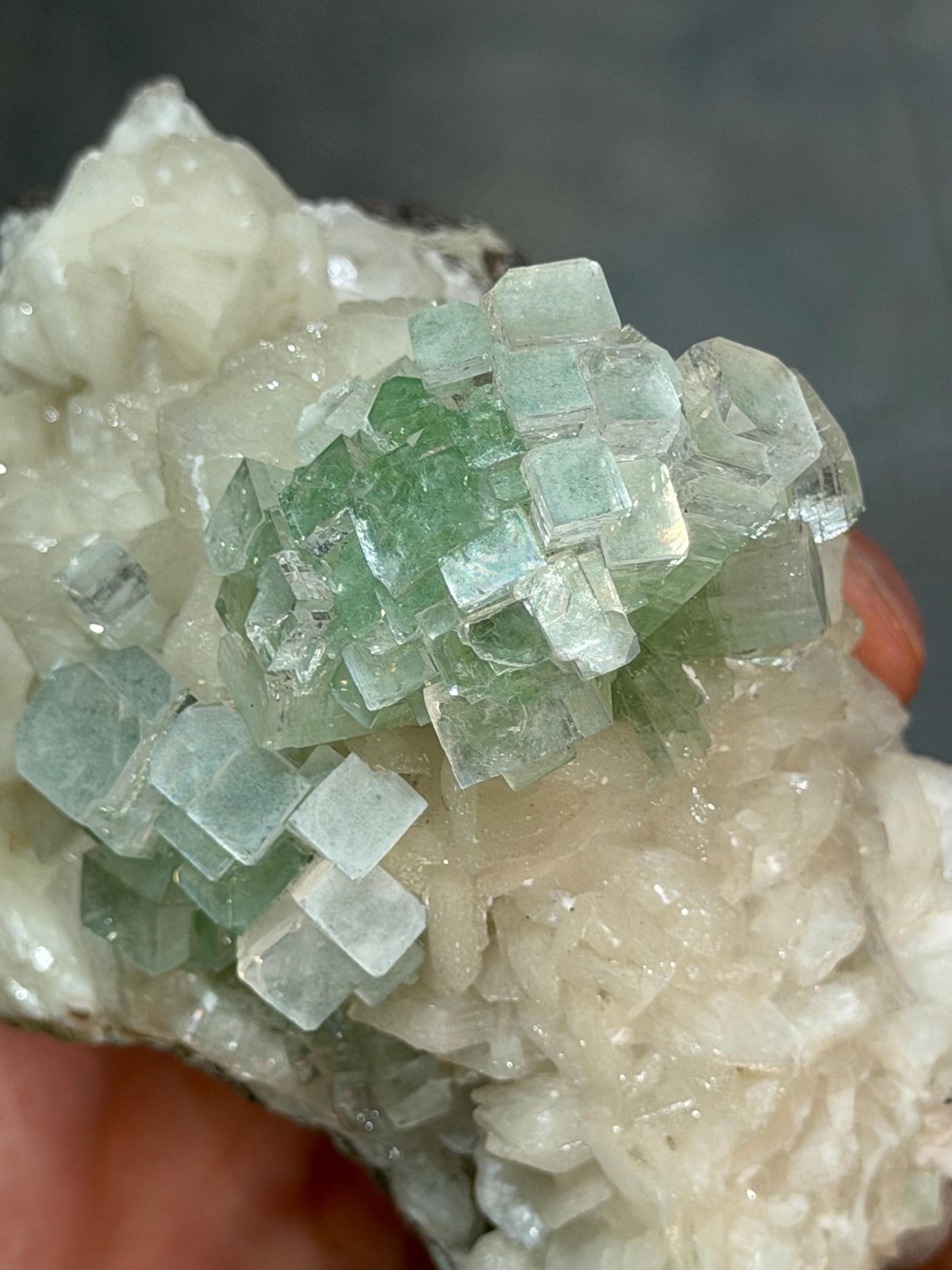 The High Level! Discoball Apophyllite Stilbite