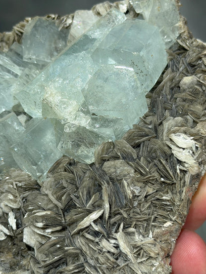 Aquamarine With Muscovite Specimen
