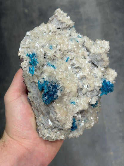Museum Quality, Cavansite On Stilbite