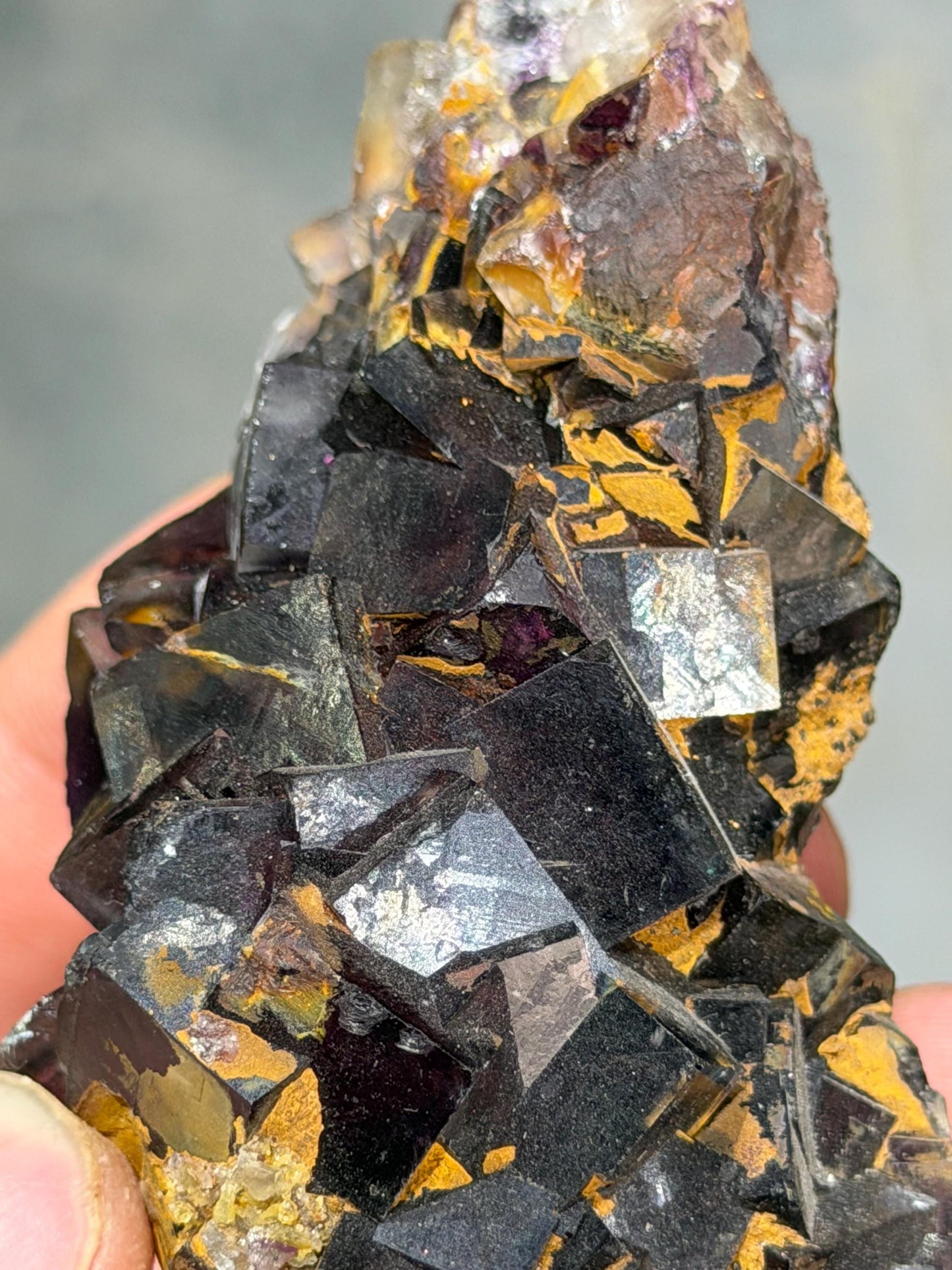 Dark Purple Fluorite Specimen
