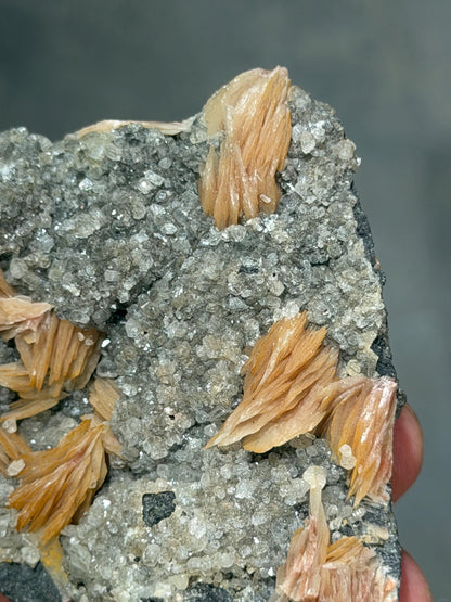Barite With Calcite Specimen
