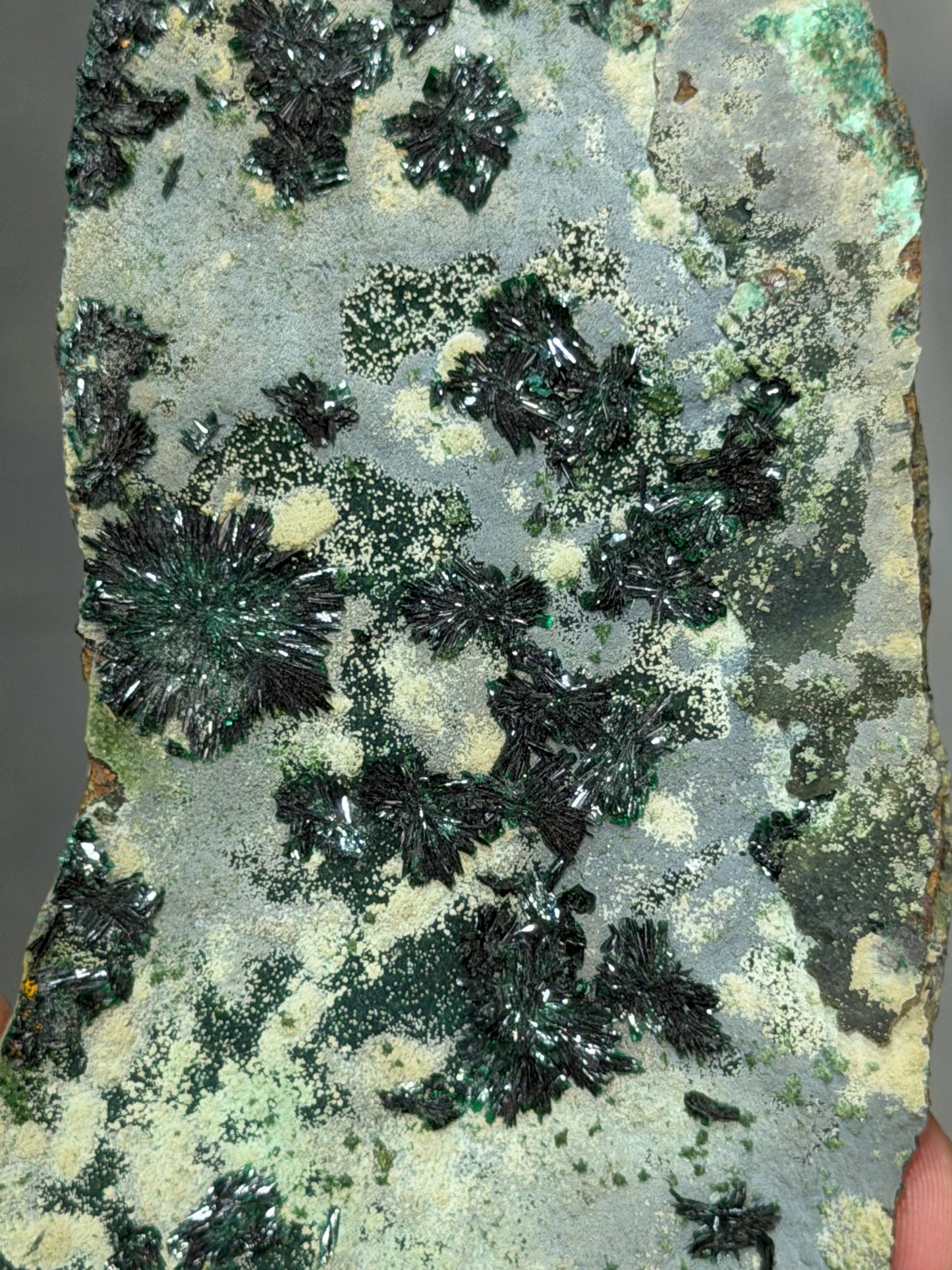 Atacamite Crystal Specimen