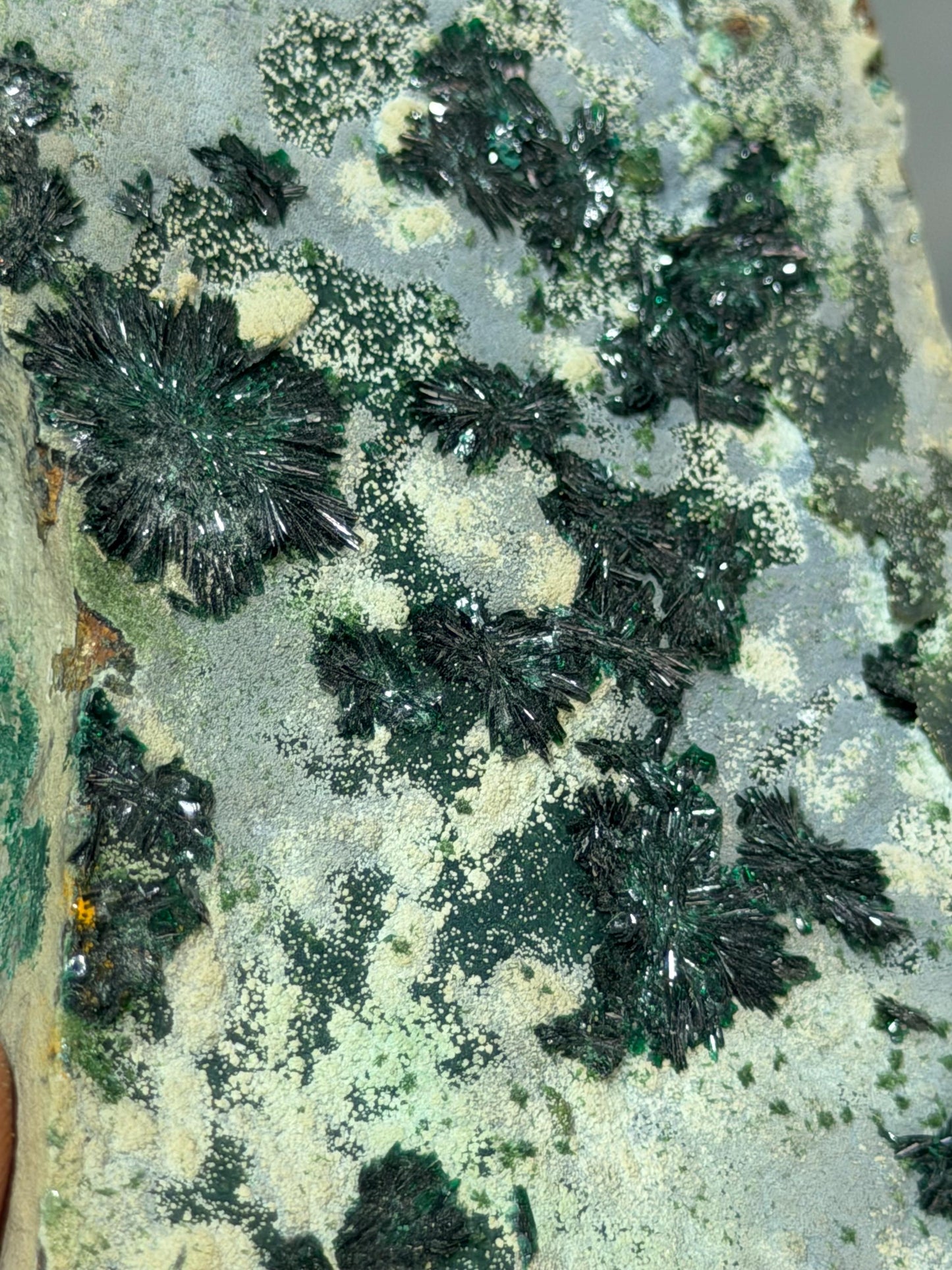 Atacamite Crystal Specimen