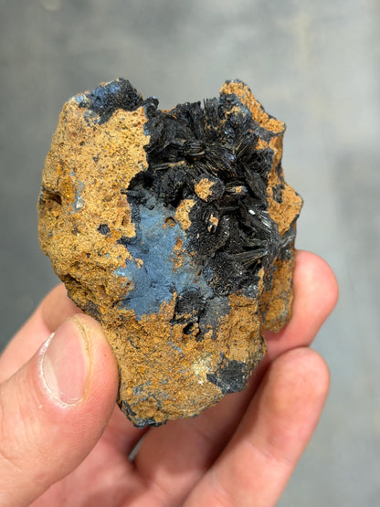 Special Vivianite Specimen