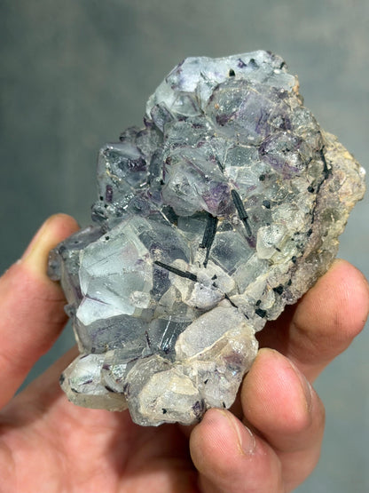Phantom Fluorite In Black Tourmaline