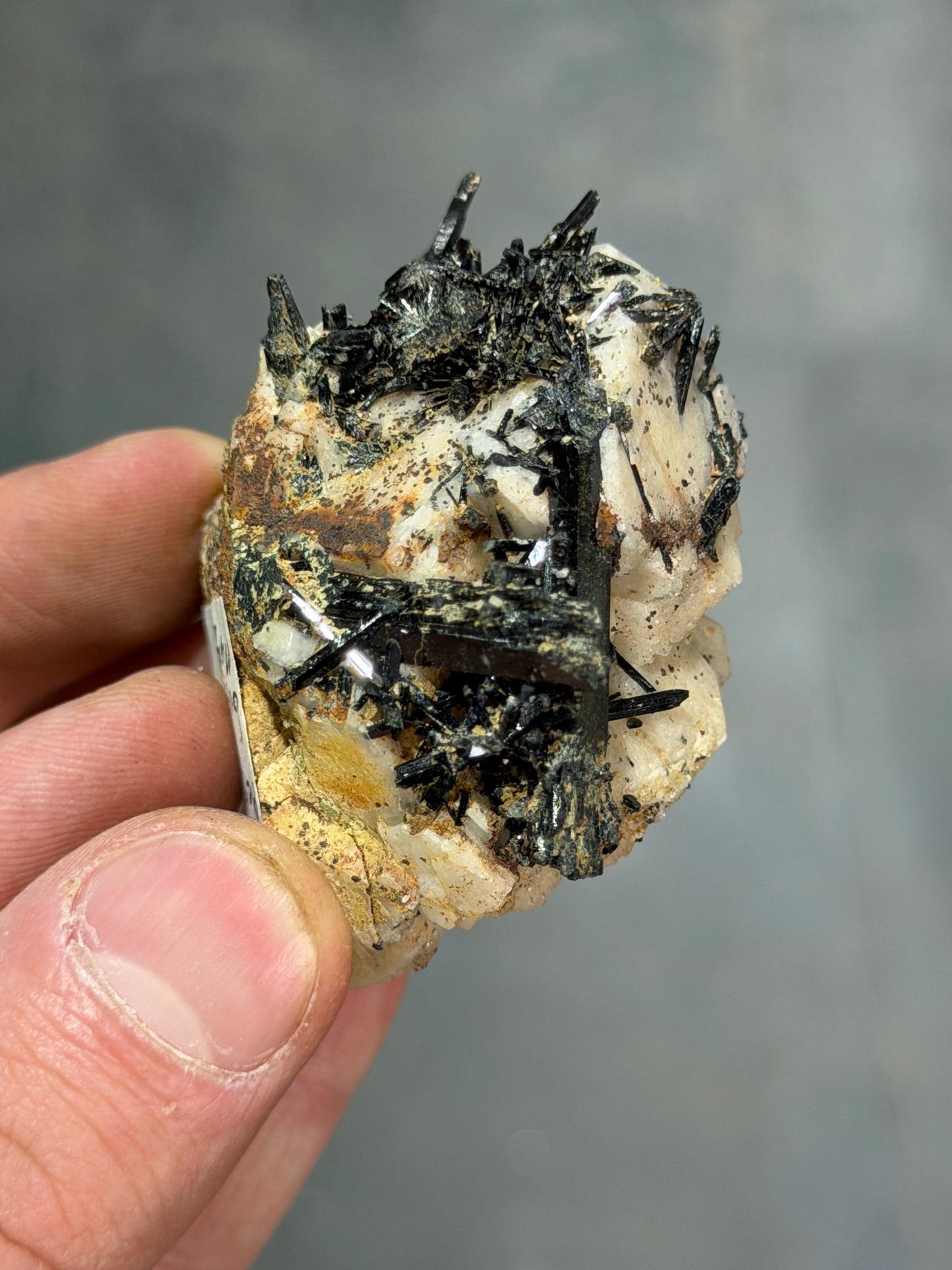 Aegirine With Quartz