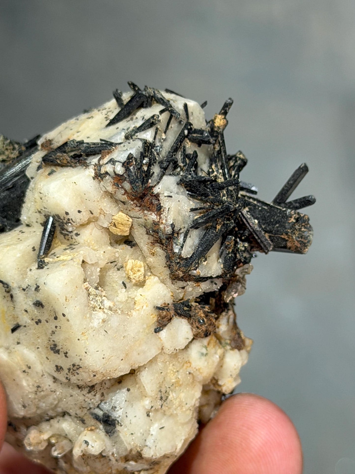 Aegirine With Quartz