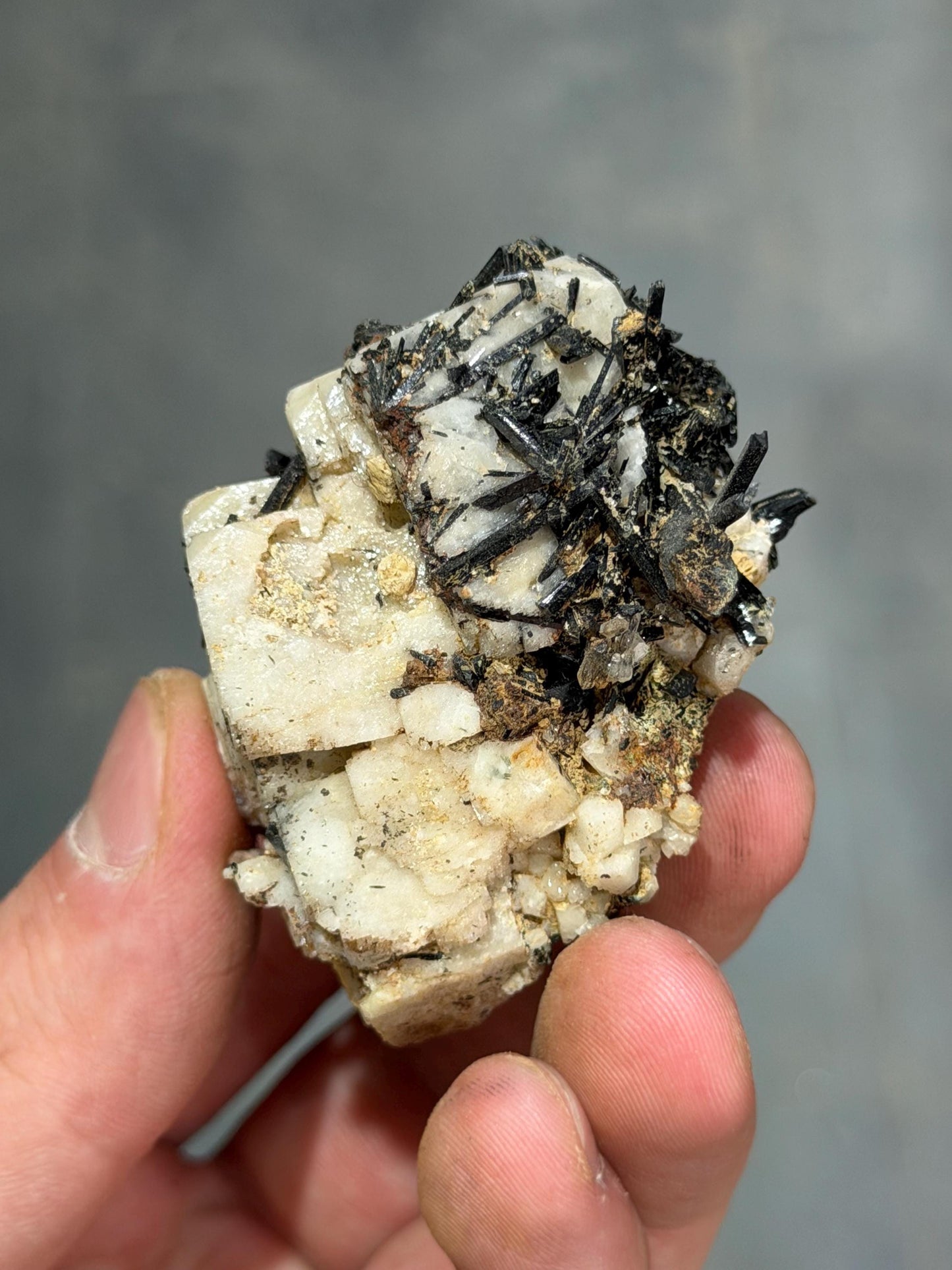 Aegirine With Quartz