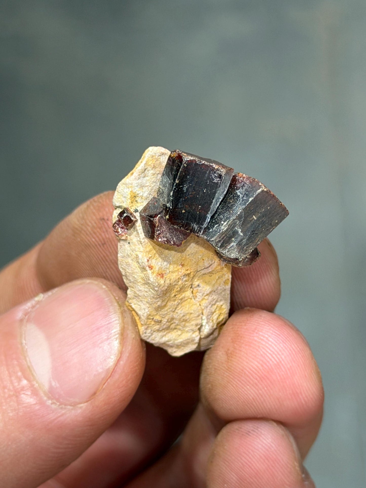 Tantalite Crystals On Matrix
