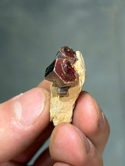 Tantalite Crystals On Matrix
