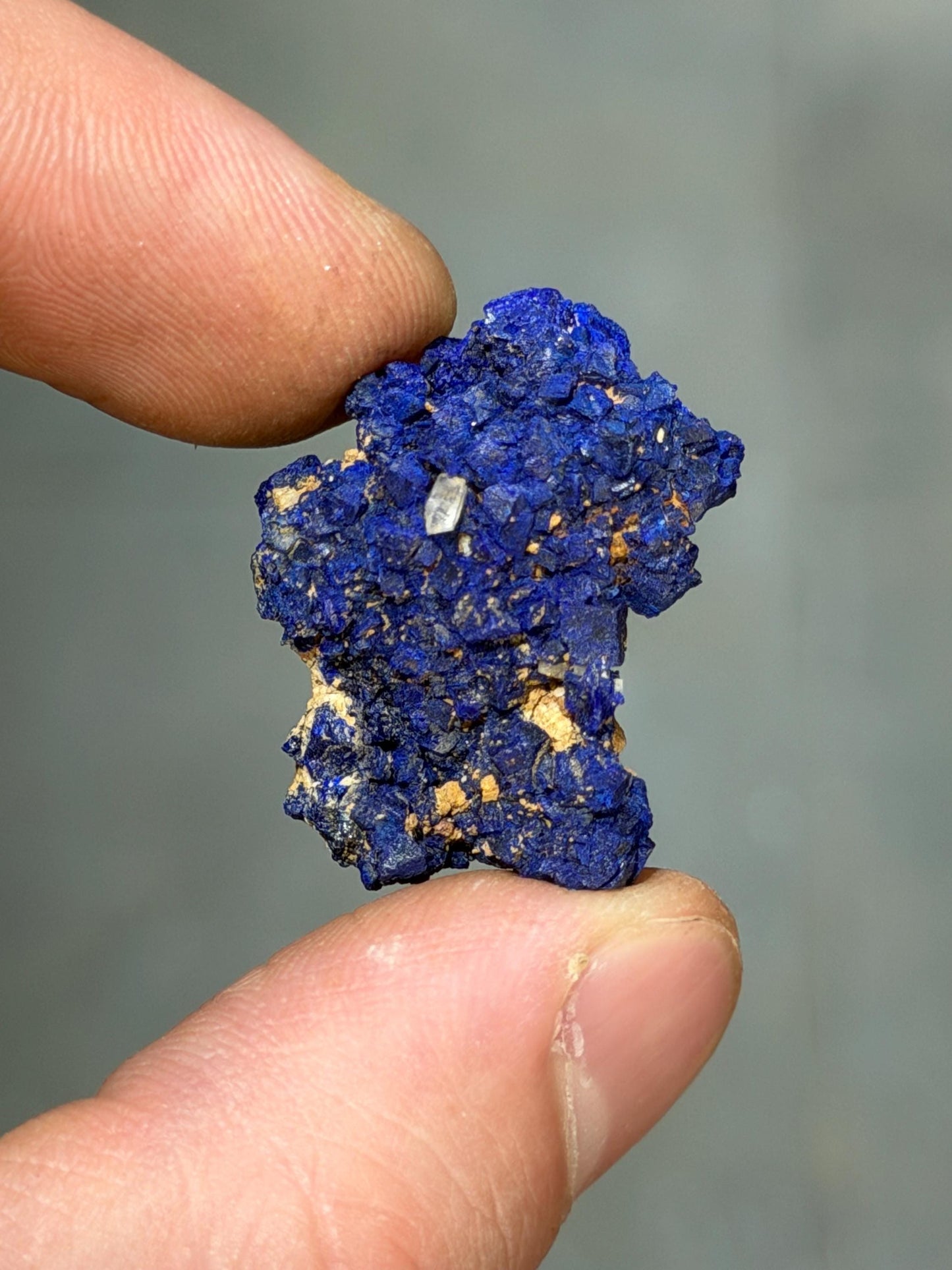 Lazurite Crystals On Matrix