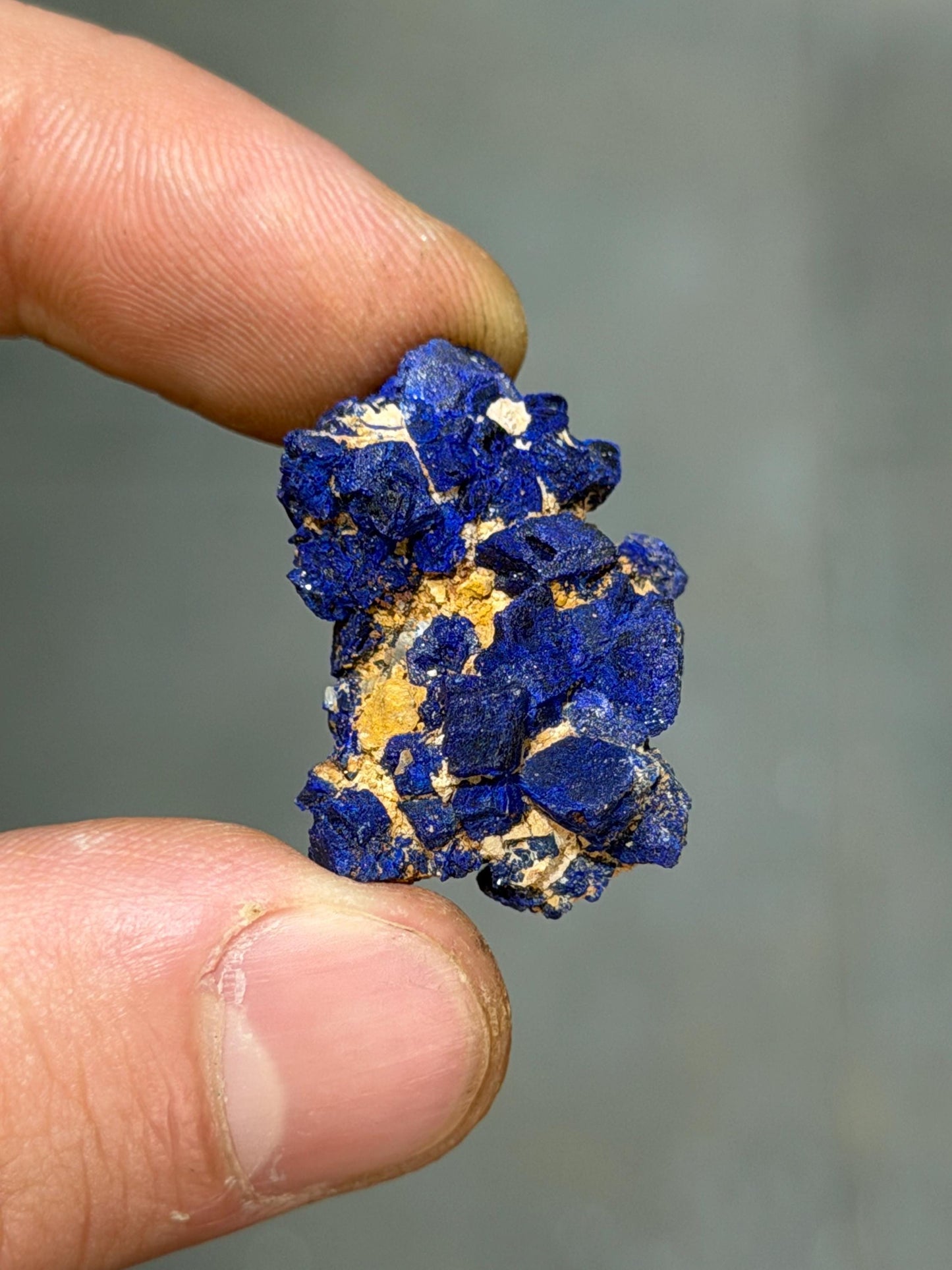 Lazurite Crystals On Matrix