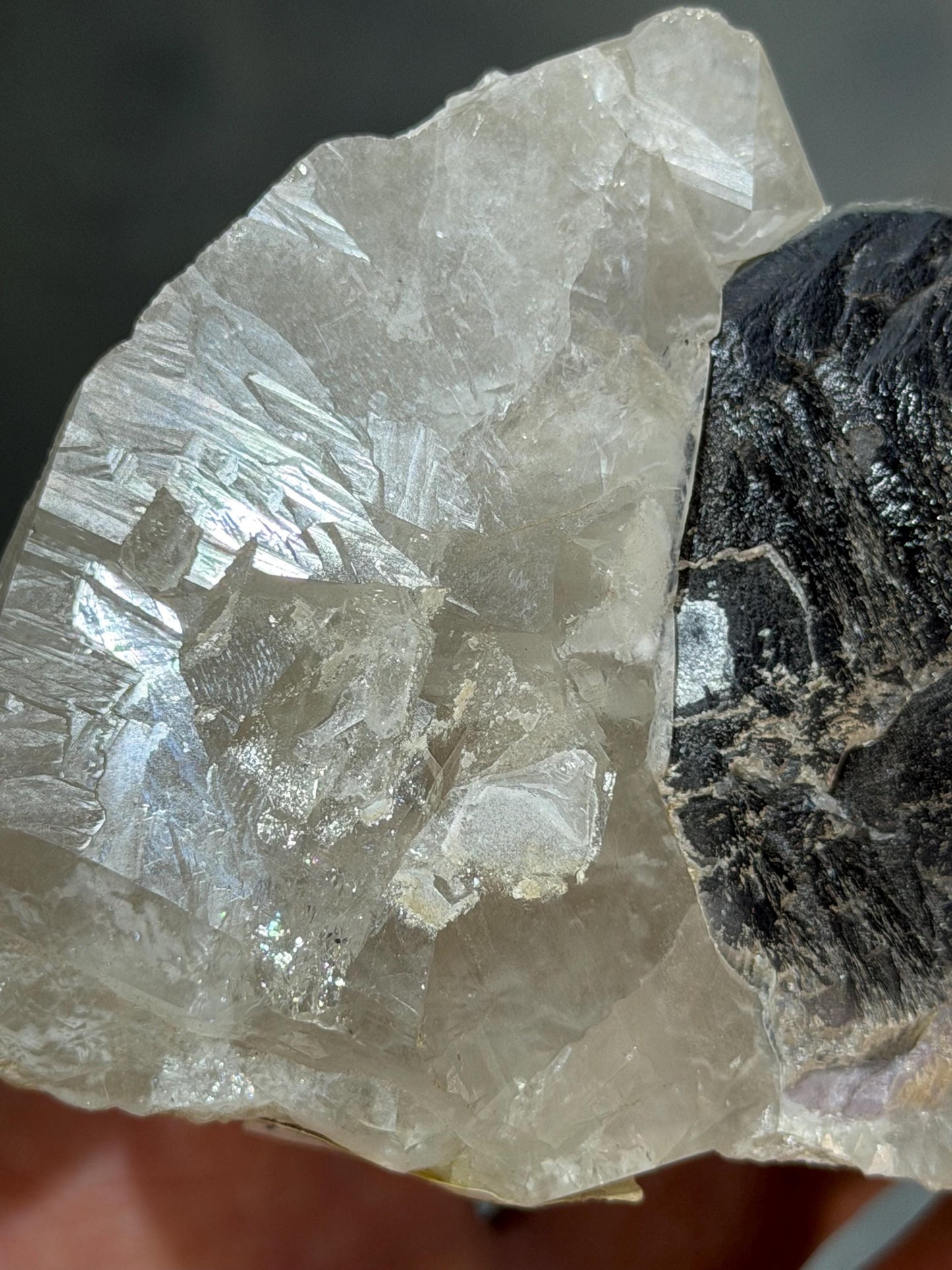 Black Tourmaline With Quartz