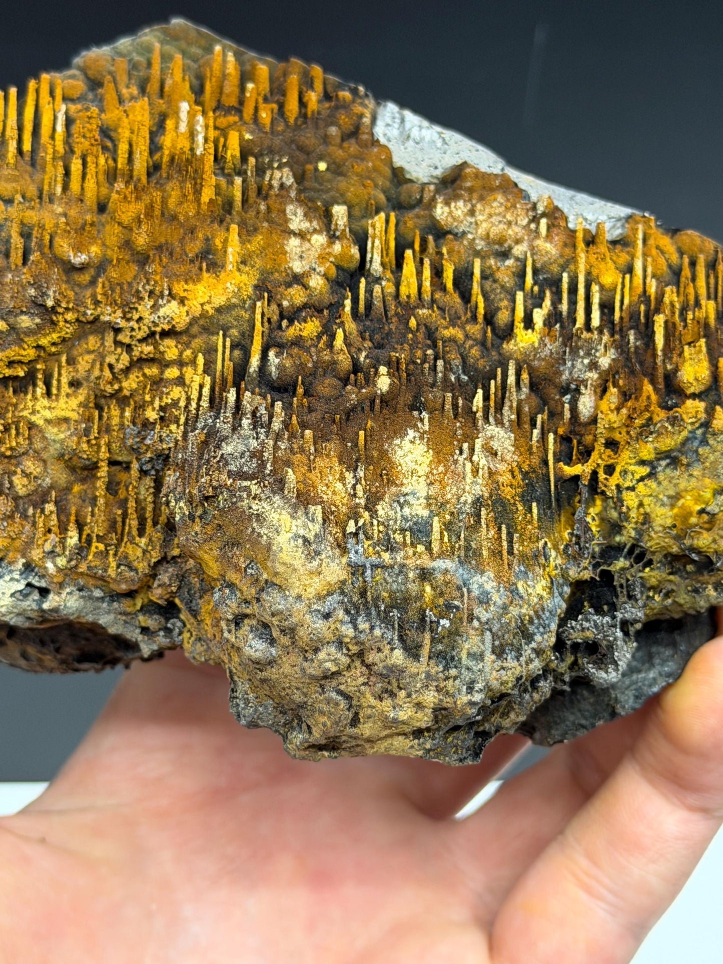 Museum Stone! Very Showy Limonite With Stalactite Goethite, For Special Collection
