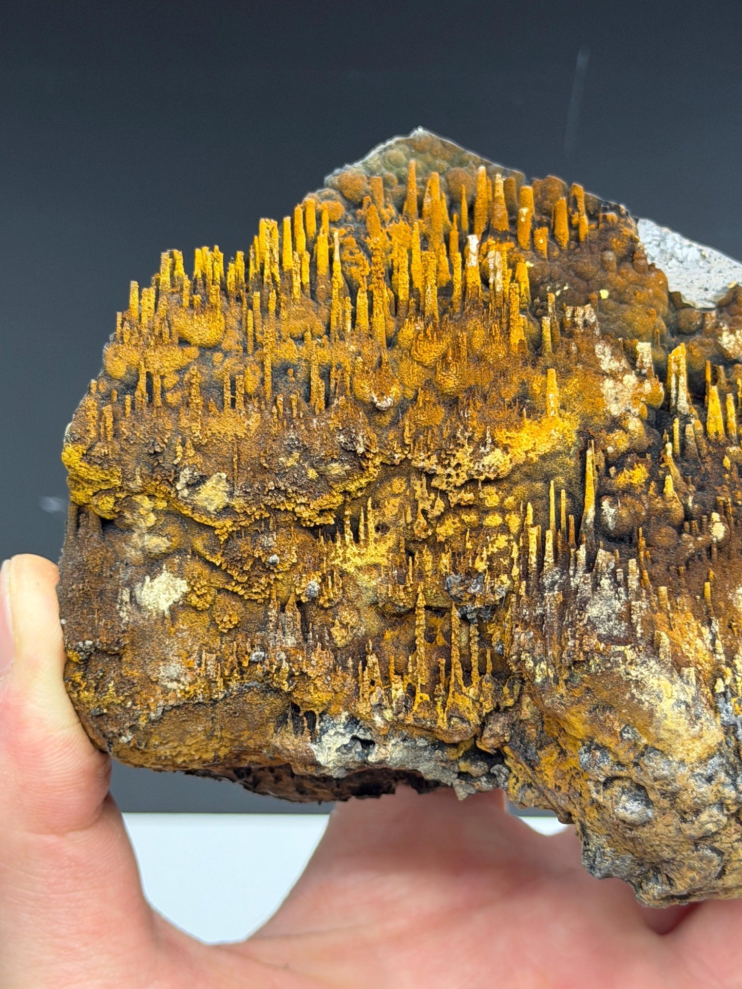 Museum Stone! Very Showy Limonite With Stalactite Goethite, For Special Collection