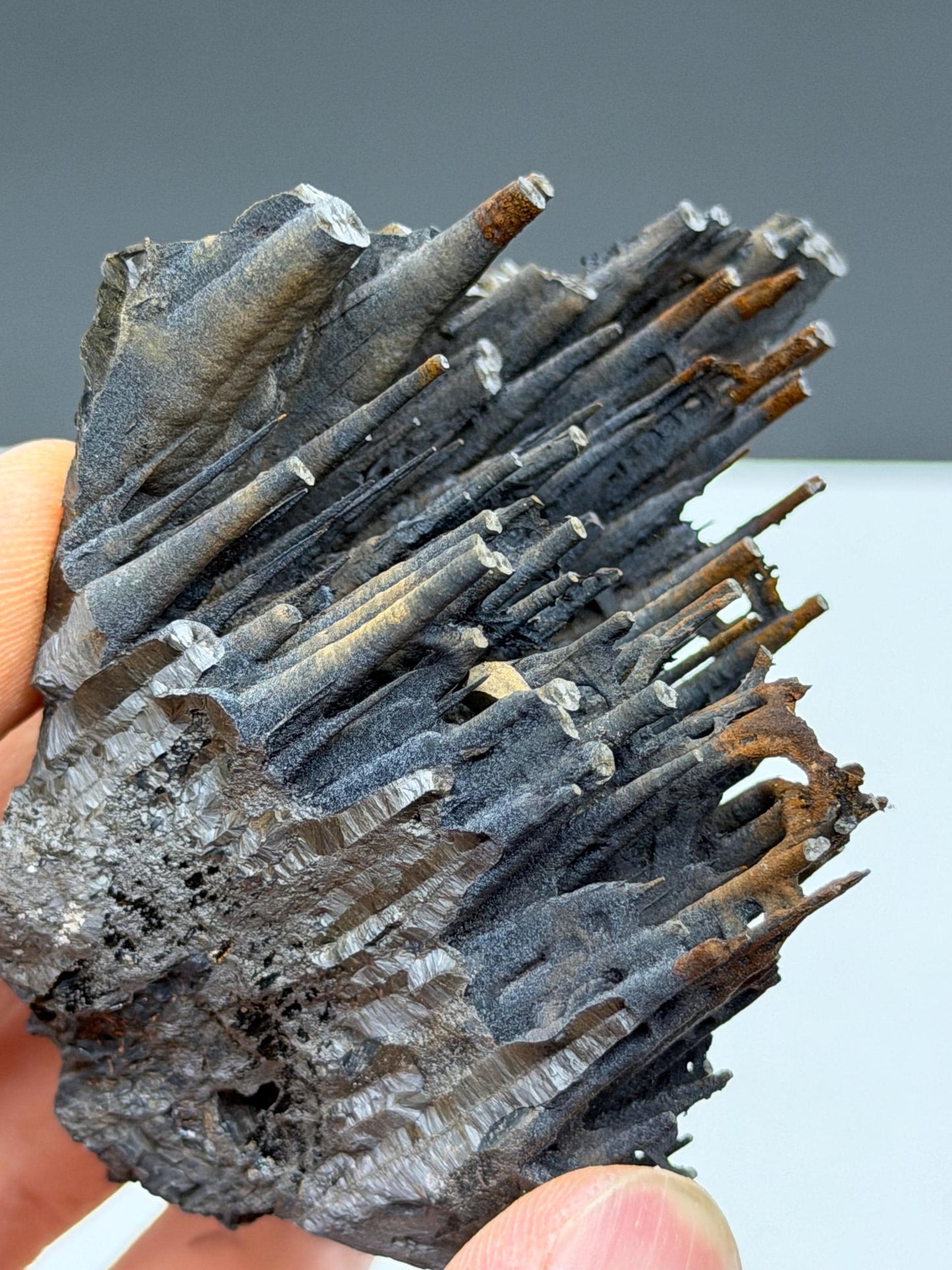 Museum Quality!! Limonite With Velvet Bridge Formation Stalactite Goethite