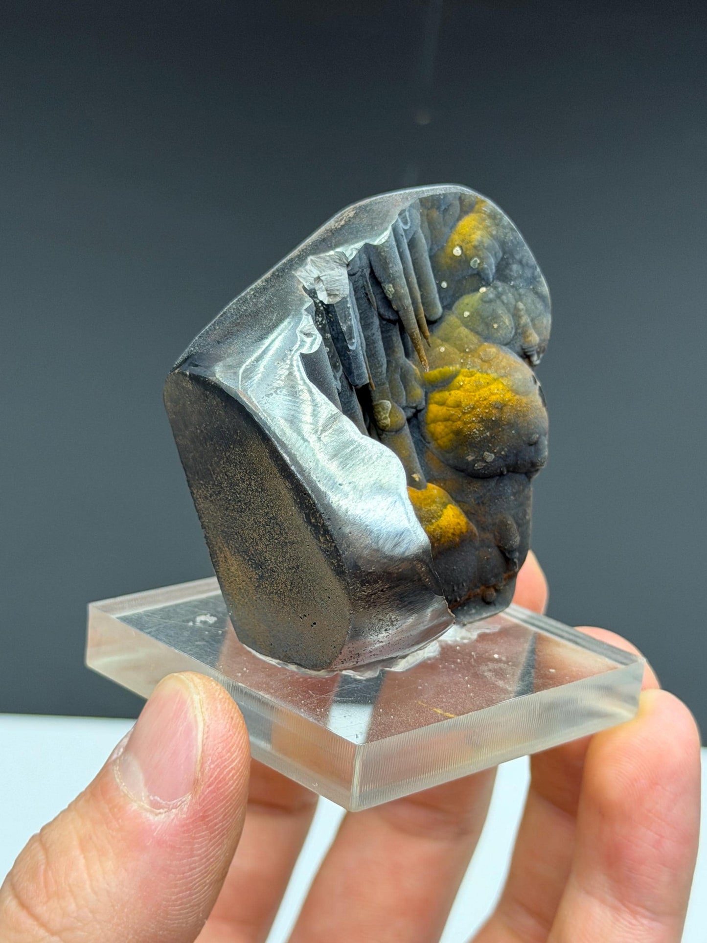 Very Showy And Special! Limonite Velvet Stalactite Goethite