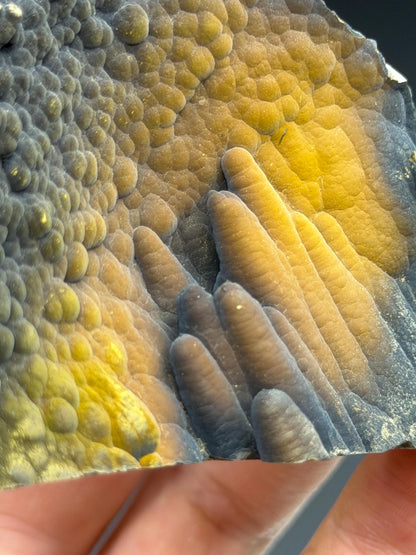 Museum Quality, Limonite With Velvet Stalactite Goethite