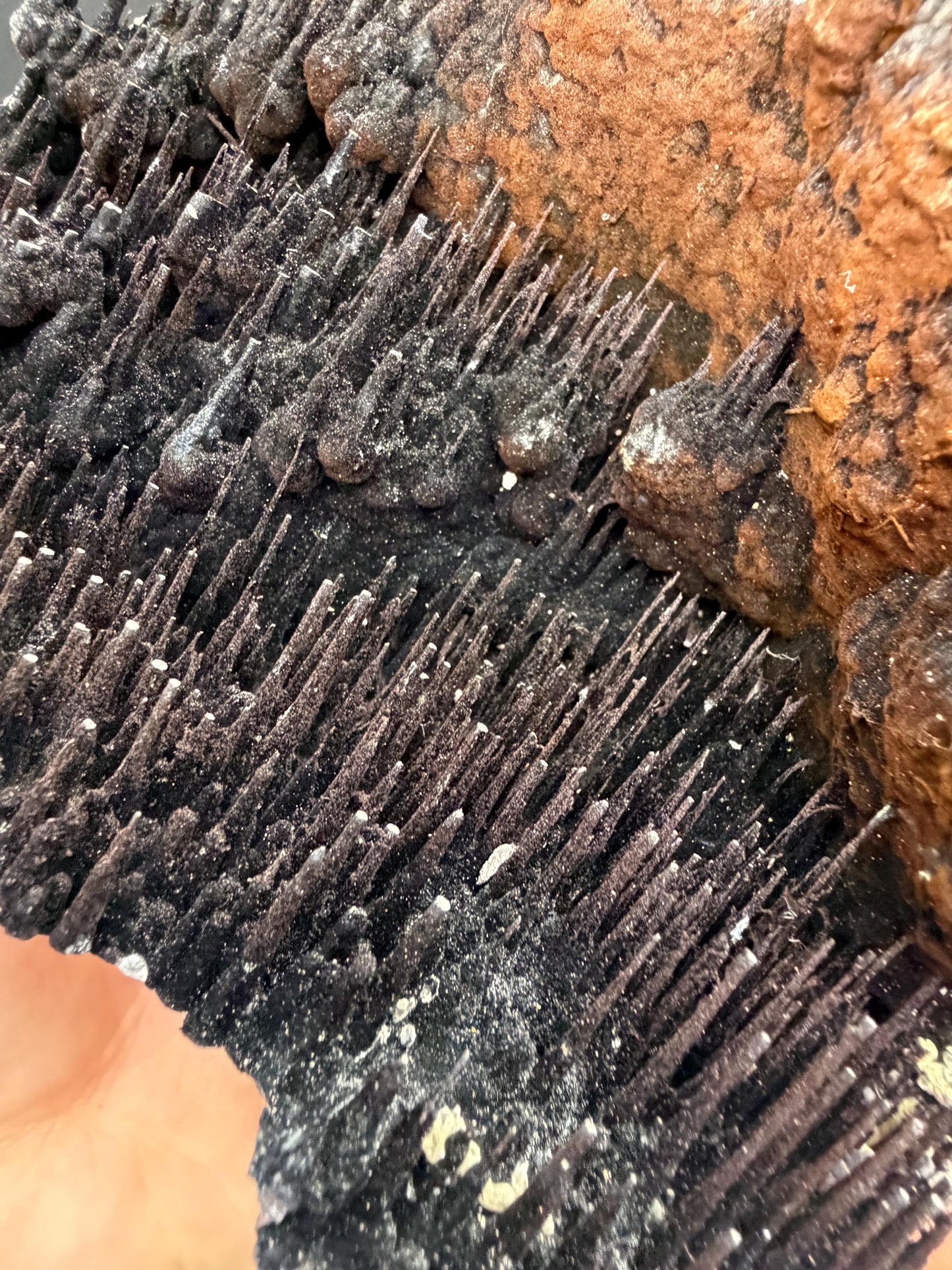 Museum Quality! Limonite With Stalactite Goethite, For Special Collection