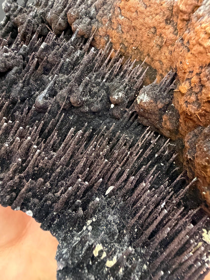 Museum Quality! Limonite With Stalactite Goethite, For Special Collection