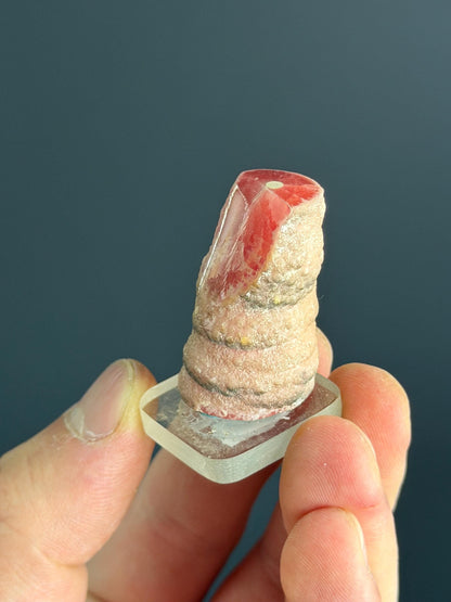 RARE! Rhodochrosite Specimen
