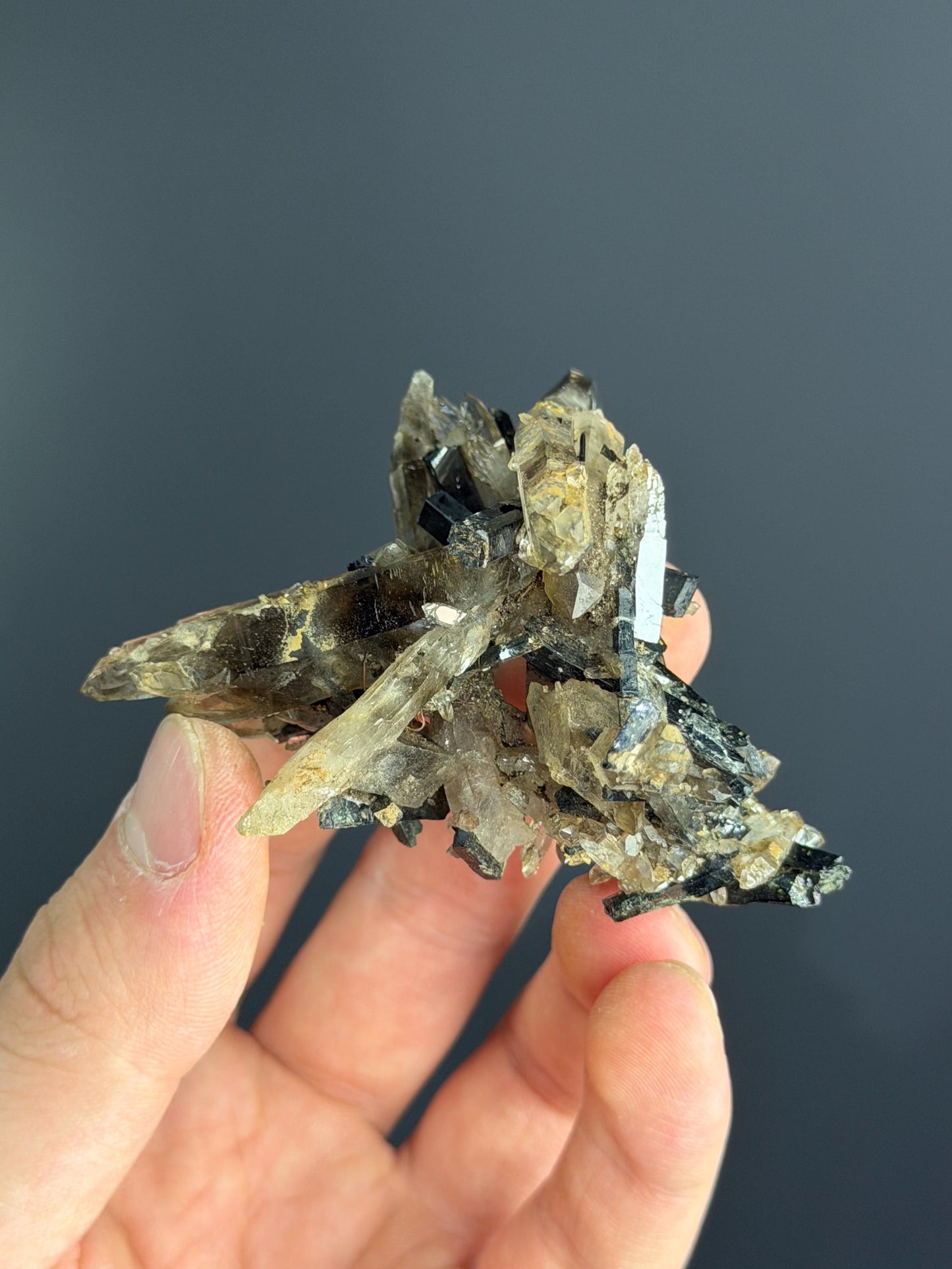 Smoky Quartz With Aegirine