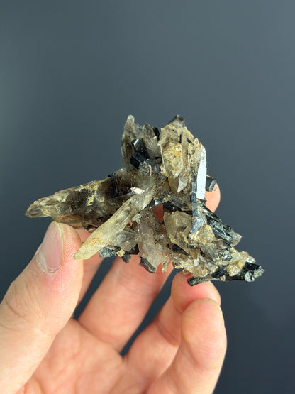 Smoky Quartz With Aegirine