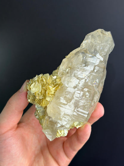 Apatite Mica Quartz