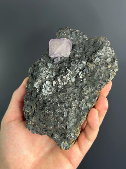 Sphalerite With Pink Cubic Fluorite