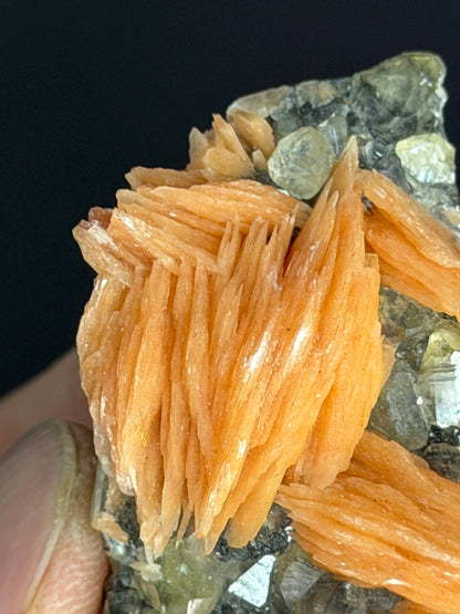 Cerussite With Orange Barite And Galena