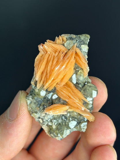 Cerussite With Orange Barite And Galena