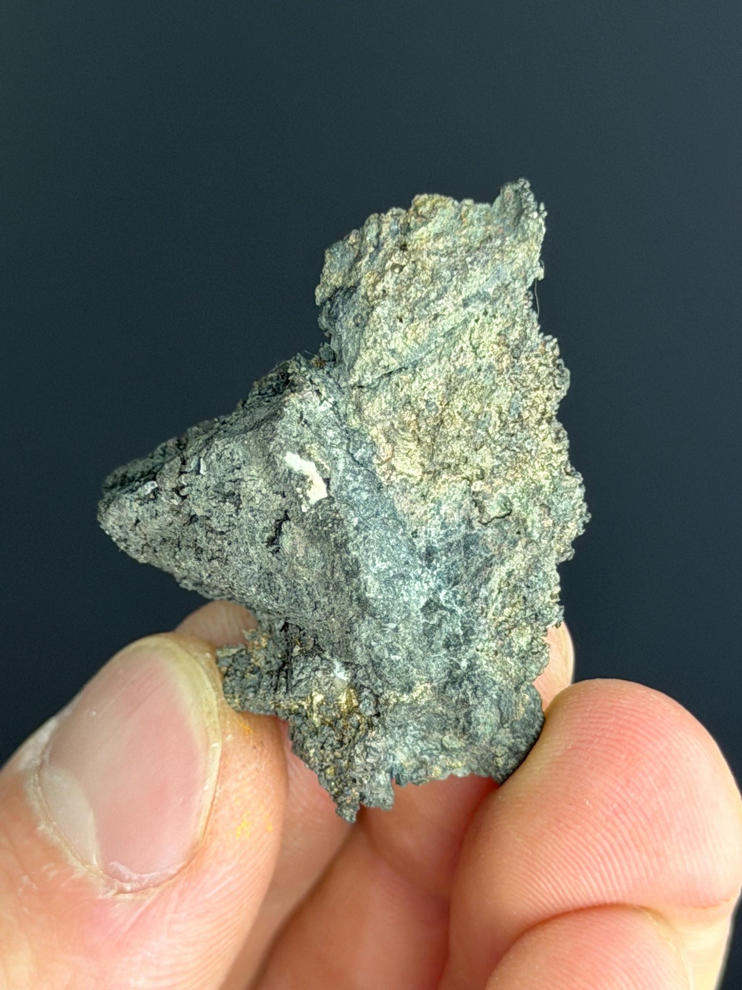 Leaf Silver Specimen