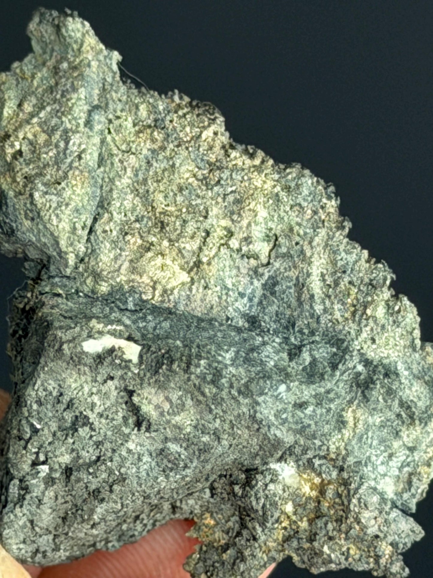 Leaf Silver Specimen